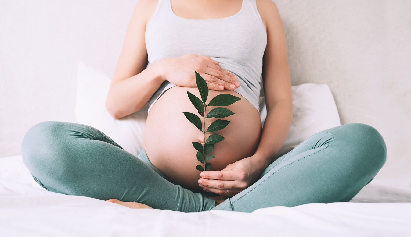 Fertility Vitality at Glo Calgary